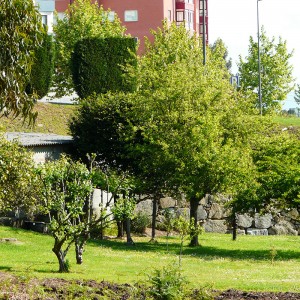 Parque Mesoiro